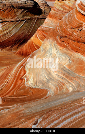 La vague principale formations dans les régions sauvages du Nord et Coyote Buttes Vermilion Cliffs National Monument. Banque D'Images