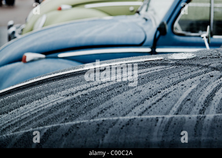 Gouttes de pluie sur capot de voiture Banque D'Images