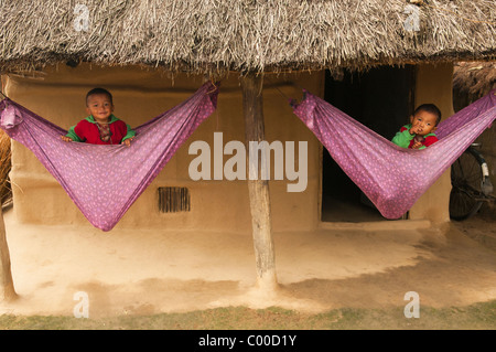 Les garçons mignons dans des hamacs dans un village Tharu au parc national de Chitwan au Népal Banque D'Images