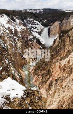 USA, Wyoming, Yellowstone National Park, Lower Falls sur la rivière Yellowstone à Artist Point après tempête de printemps Banque D'Images