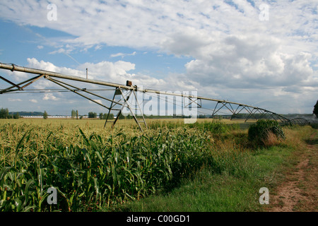 L'agriculture, de l'arrosage système de récolte Banque D'Images