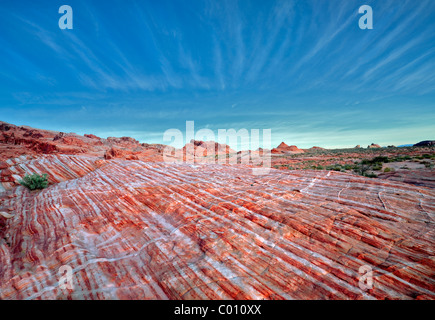 Bandes de roches colorées, striés. Vallée de Feu Park, Nevada Banque D'Images