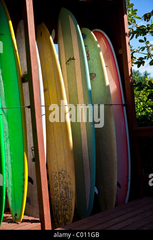 Planches empilés à Mar Azul surf shop dans Rincon Puerto Rico Banque D'Images