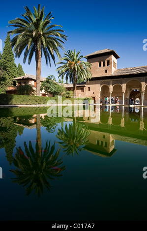 Alhambra, Granada, Andalousie, Espagne, Europe Banque D'Images