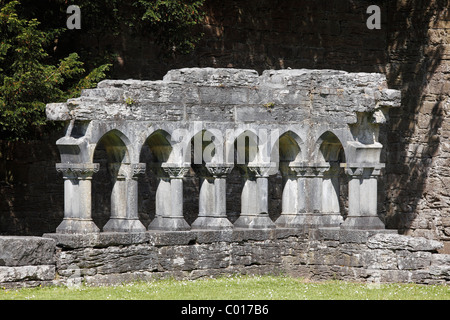 Reste du Cloître, Abbaye de Cong, dans le comté de Mayo, Connacht, République d'Irlande, Europe Banque D'Images