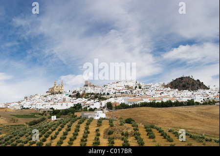 Olvera, Andalousie, Espagne, Europe Banque D'Images
