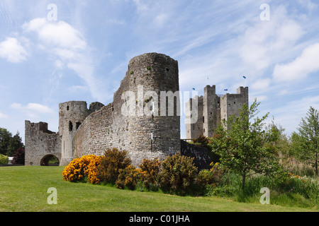 Le Château de Trim, comté de Meath, Leinster, Irlande, Europe Banque D'Images