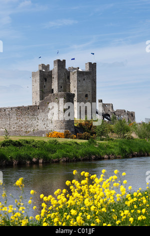 Le Château de Trim, Boyne, dans le comté de Meath, Leinster, Irlande, Europe Banque D'Images