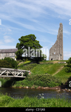 Clocher jaune, Boyne, garniture, comté de Meath, Leinster, Irlande, Europe Banque D'Images