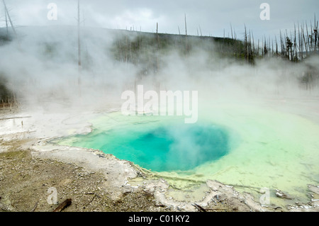 Cistern Spring, Norris Geyser Basin, Parc National de Yellowstone, Wyoming, USA, Amérique du Nord Banque D'Images