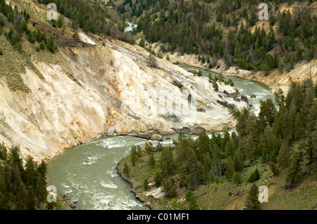 Yellowstone River près de Tower de l'automne, le Parc National de Yellowstone, Wyoming, USA, Amérique du Nord Banque D'Images