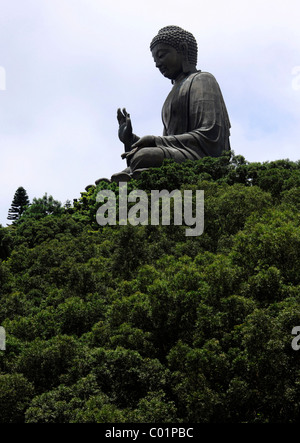 Tian Tan Buddha ou statue du Grand Bouddha, Hong Kong, Chine, Asie Banque D'Images