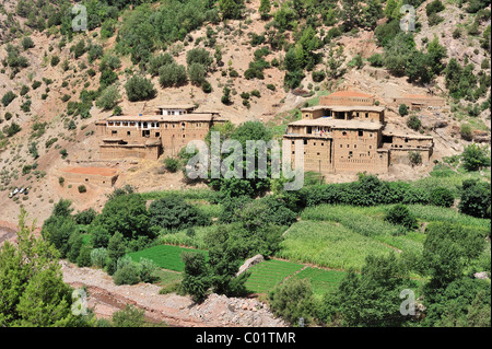 Village berbère typique avec des maisons d'adobe et petites kasbahs dans les montagnes du Haut Atlas, Maroc, Afrique Banque D'Images