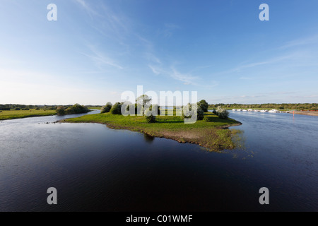 La rivière Shannon à Long Island près de Shannonbridge, County Offaly, Leinster, République d'Irlande, Europe Banque D'Images