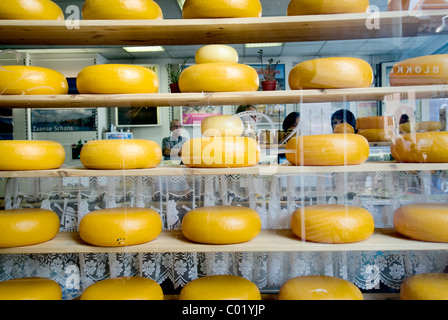 Roues de fromage dans une boutique sur la rue Damrak, centre-ville, Amsterdam, Pays-Bas, Europe Banque D'Images