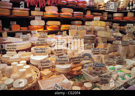 Un affichage étonnant de fromages dans un magasin à Bruges, Belgique. Banque D'Images