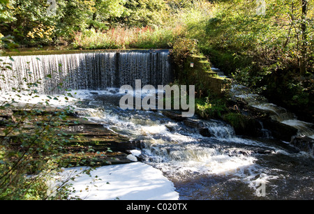 Birkacre Weir, sur la rivière Yarrow, dans la vallée de millefeuille Country Park, Lancashire Banque D'Images