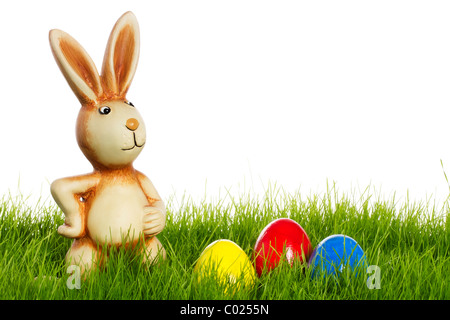 Lapin de Pâques avec des oeufs de pâques dans l'herbe avec fond blanc Banque D'Images