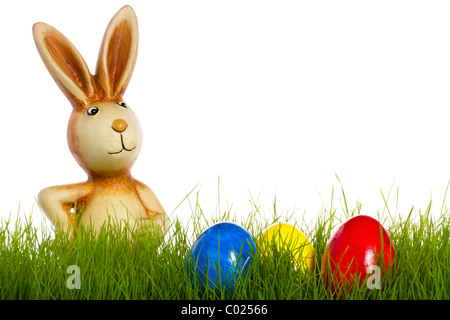 Lapin de Pâques derrière l'herbe avec les oeufs de pâques sur fond blanc Banque D'Images