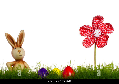 Lapin de Pâques derrière l'herbe avec des fleurs et d'oeufs de pâques avec fond blanc Banque D'Images