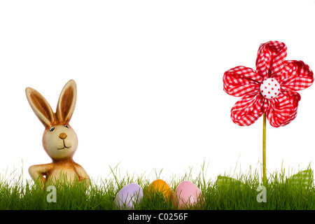 Lapin de Pâques derrière l'herbe avec des oeufs de Pâques et de fleurs sur fond blanc Banque D'Images