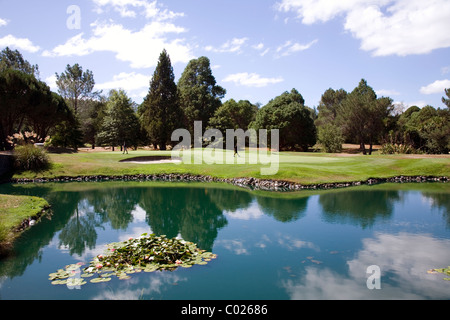 Golf International de Wairakei, Taupo, Nouvelle-Zélande Banque D'Images