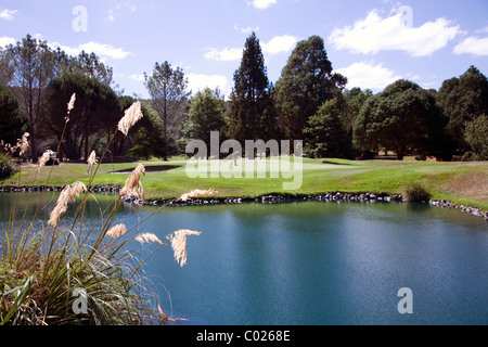 Golf International de Wairakei, Taupo, Nouvelle-Zélande Banque D'Images