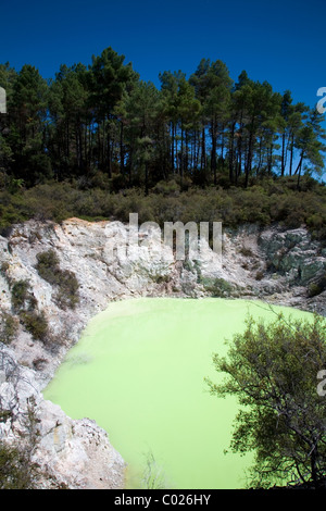 Devil's Bath est une construction robuste à double cratère rempli d'eau naturellement de couleur vert lime Nouvelle-zélande Banque D'Images