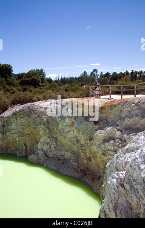 Devil's Bath est une construction robuste à double cratère rempli d'eau naturellement de couleur vert lime Nouvelle-zélande Banque D'Images