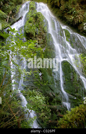 La rivière Waikato se précipite vers la cascade de Huka près de Taupo Nouvelle-zélande Banque D'Images