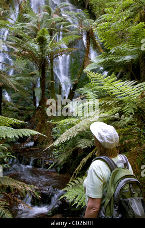 La rivière Waikato se précipite vers la cascade de Huka près de Taupo Nouvelle-zélande Banque D'Images