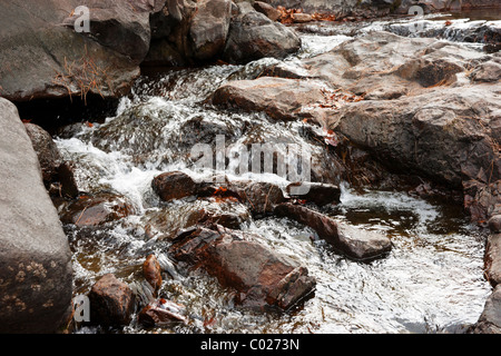 L'assainissement de l'eau douce aller au-dessus des rochers dans un petit ruisseau Banque D'Images