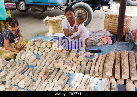 Bois de Thanaka (Murraya exotica) vendeur, marché quotidien, New Bagan, Birmanie Myanmar Banque D'Images