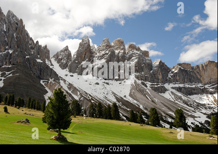 Adolf-Munkel-Weg trail sous le Geisslerspitzen Gschnagenhardalm massif, à l', Villnoesstal, dans le Tyrol du Sud, Italie, Europe Banque D'Images