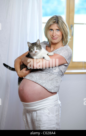 Femme enceinte avec cat, danger de la toxoplasmose (Toxoplasma gondii) Banque D'Images