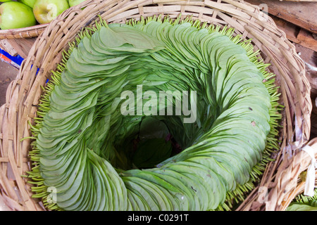 Feuilles de bétel dans panier, marché quotidien, New Bagan, Birmanie Myanmar Banque D'Images