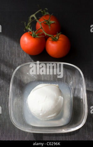 La mozzarella di bufala, mozzarella de bufflonne, en saumure, fabriqué à partir de lait de bufflonne, traditionnellement produites en Campanie Banque D'Images