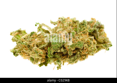 Close up de la marijuana (Cannabis) tourné avec un objectif macro Banque D'Images