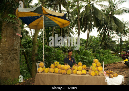 Un vendeur en bordure de fruits Durian vente au Sri Lanka Banque D'Images