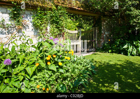 Ouvrez la porte de jardin en bois dans un jardin anglais en été et à la frontière de l'Eschscholzia californica et Allium au premier plan. Banque D'Images