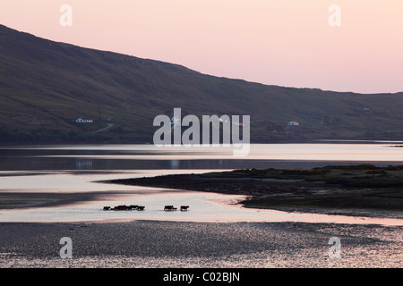 Soir bay avec Skyroads, Connemara, comté de Galway, en République d'Irlande, Europe Banque D'Images