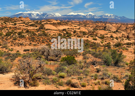 Dunes de sable ancienne dans Parc National Arches dans l'Utah, près de Moab, États-Unis Banque D'Images