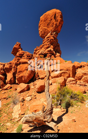 Balanced Rock formation in Parc National Arches dans l'Utah, près de Moab, États-Unis Banque D'Images
