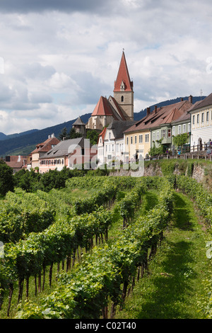 Weissenkirchen dans la Wachau, Waldviertel, Basse Autriche, Autriche, Europe Banque D'Images