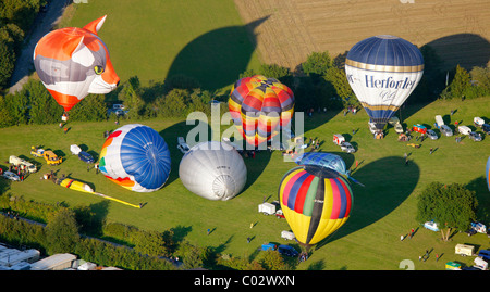 Vue aérienne, 20ème Warsteiner Montgolfiade, hot air balloon festival avec près de 200 ballons à air chaud ascendant dans le ciel Banque D'Images