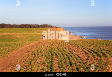 Deux personnes marchant sur un sentier sur la falaise par une érosion rapide de falaises de Covehithe, Suffolk, Angleterre, Royaume-Uni. Banque D'Images