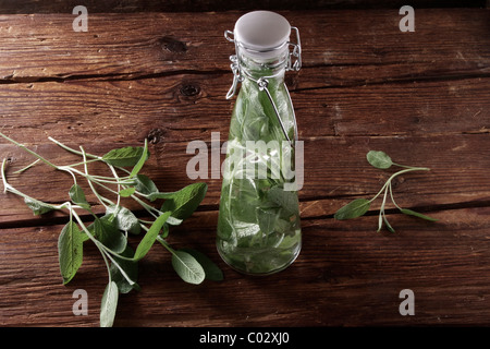 Feuilles de sauge (salvia), préparation pour faire de la médecine ou de l'alcool, sur un sol en bois rustique Banque D'Images