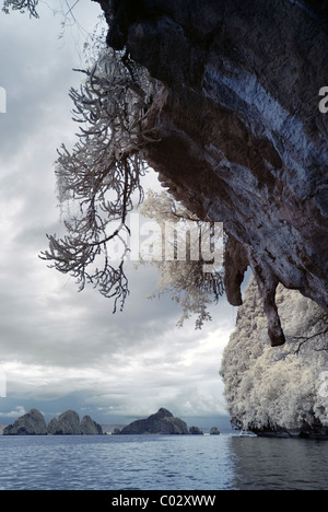 Hongs - Baie de Phang Nga Banque D'Images