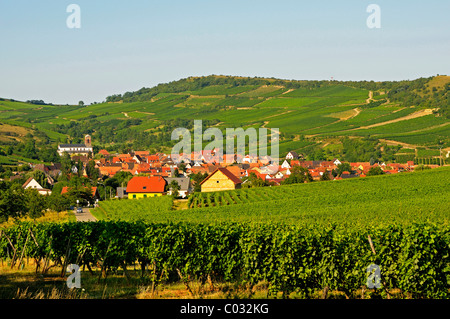 Westhalten village viticole dans la Vallée Noble sur la Route des Vins d'Alsace, la Route des Vins d'Alsace, Haut-Rhin, Alsace, France Banque D'Images