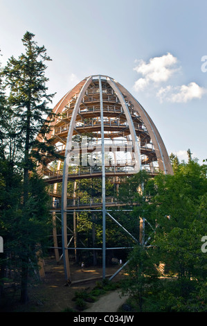 World's longest Tree Top walk 44 mètres de haut avec une plate-forme de l'arbre, Neuschoenau, Parc National de la Forêt Bavaroise, la Bavière Banque D'Images